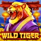 Winner game image